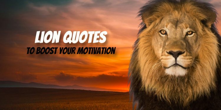 Lion Motivational