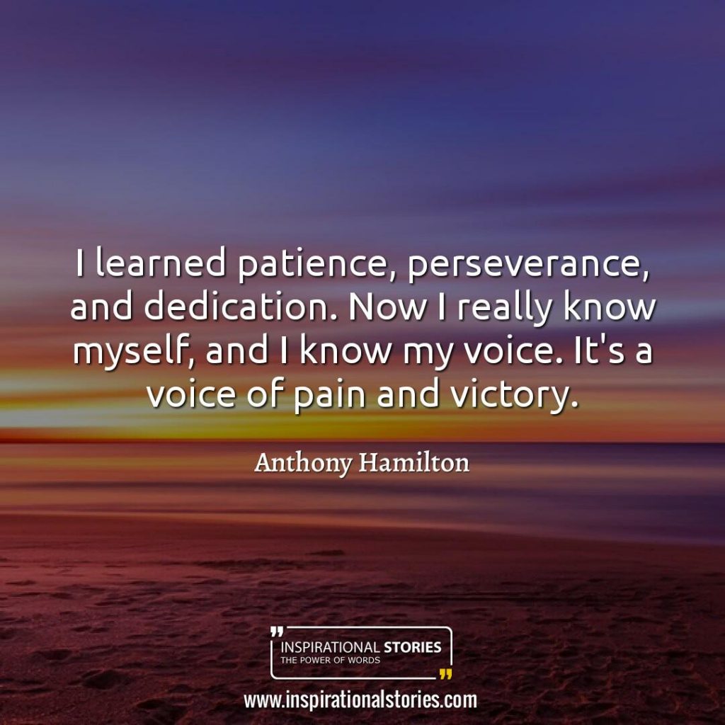 Perseverance Quotes That Will Lead You To Success Inspirational