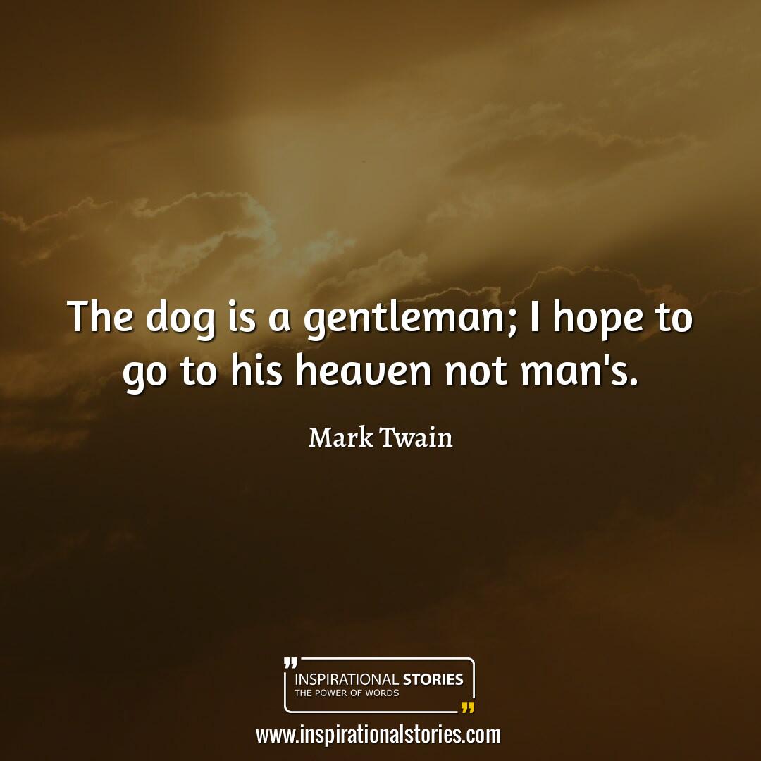Dog quotes