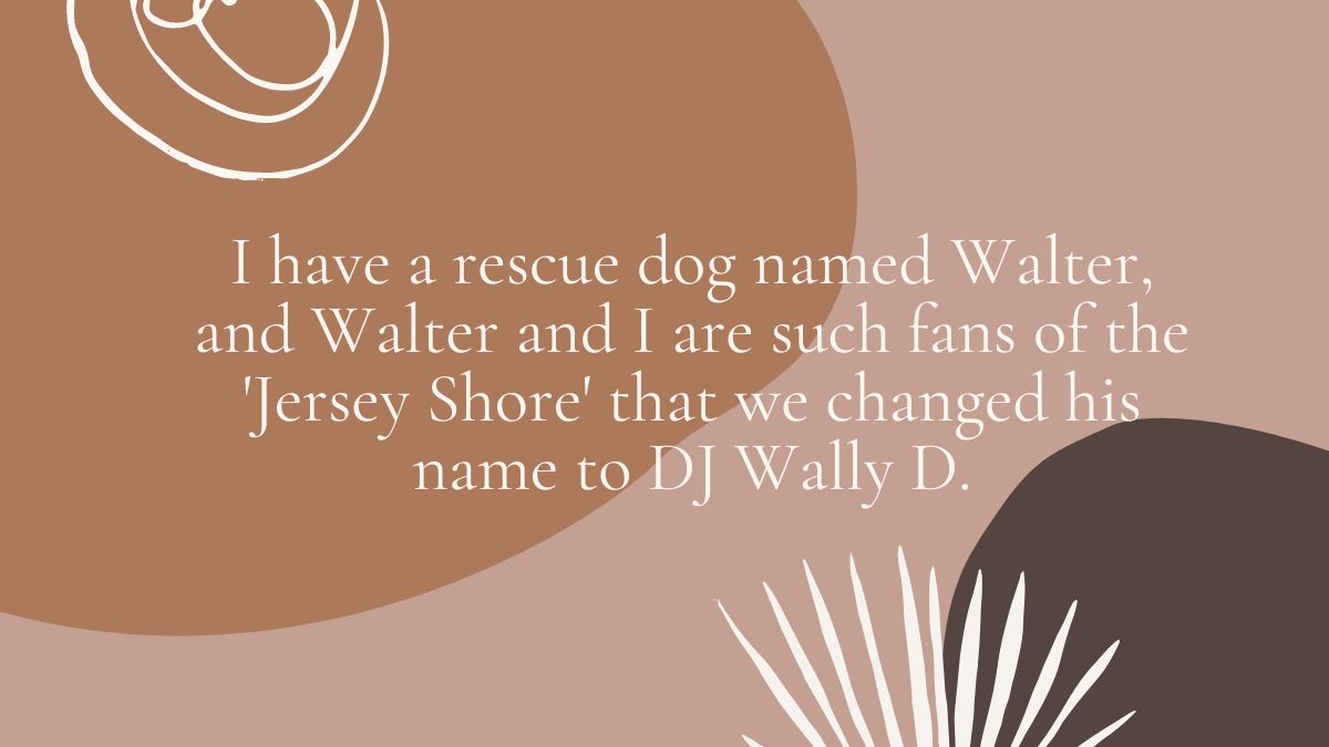 I have a rescue dog named Walter and Walter and I are such fans of the Jersey Shore that we changed his name to DJ Wally D